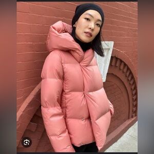 Aritzia Babaton Duvet Puffer